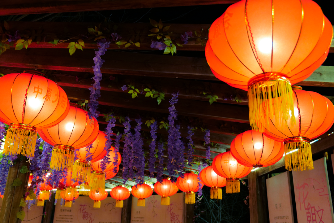 纷呈好戏，“龍”重登场！郑州绿博园新春文化节邀您快乐过“龘”年！